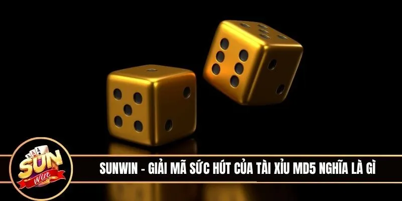Sảnh cược Tài Xỉu MD5 hiện đại thu hút đông đảo cược thủ